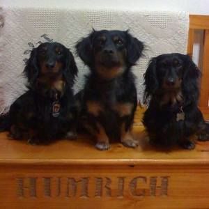 Meet your Posher, Daranee